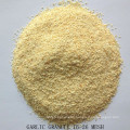 Dehydrated Garlic Granule From Factory